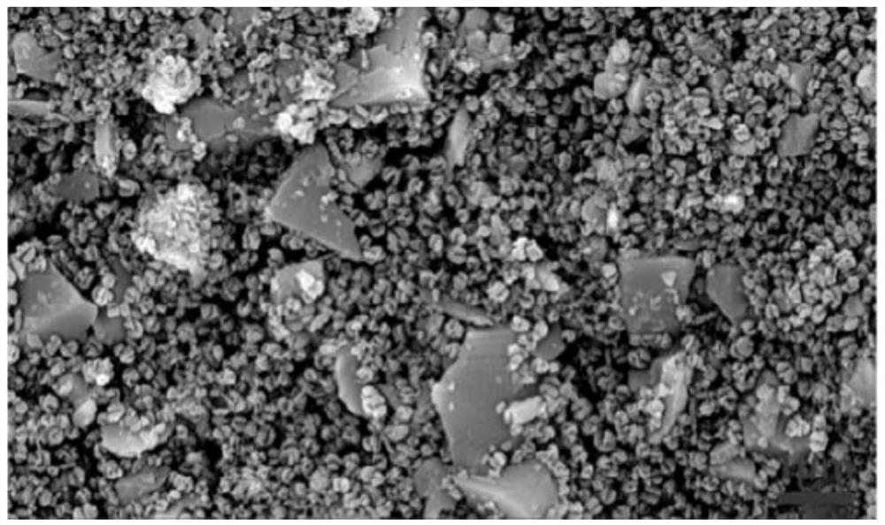 SMFC manganous-manganic oxide/tourmaline composite cathode and preparation method thereof