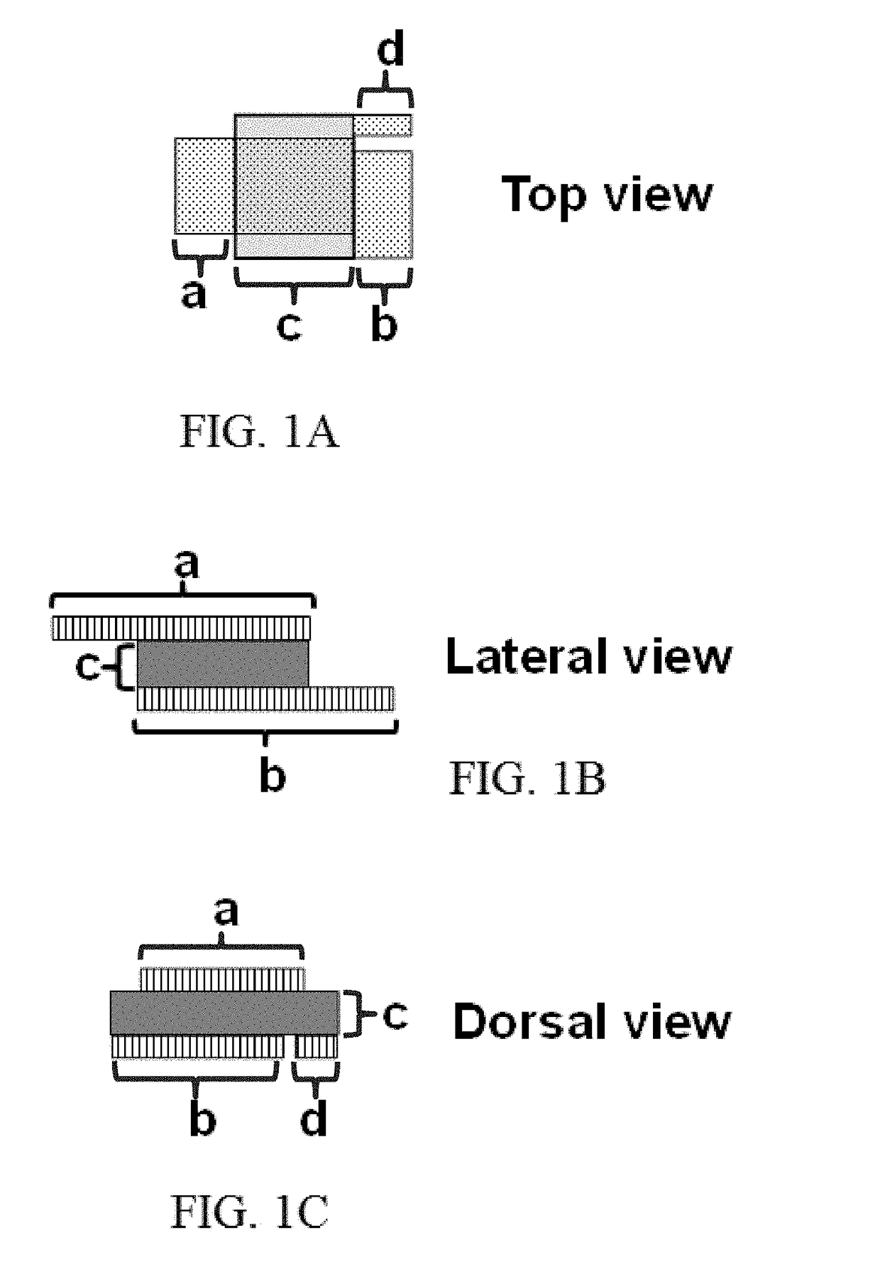 Novel method for transdermal measurement of volatile anesthetics