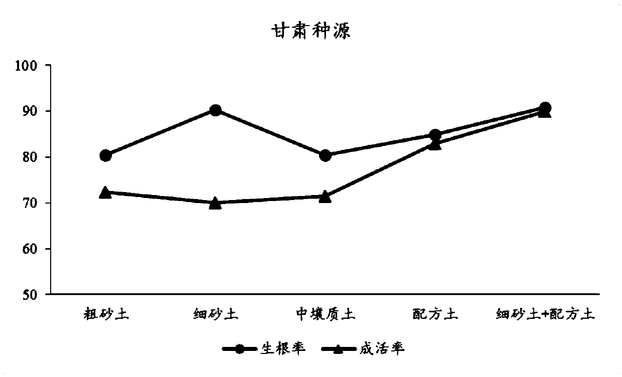 Strong root matrix for cutting seedlings and cutting method