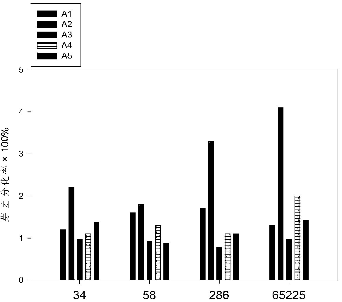 Subculture medium for saline/alkaline-tolerant fast-growing ulmus pumila tissue culture seedling