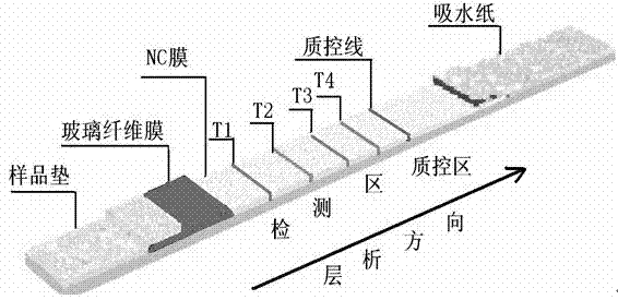 Method for preparing fast detecting test paper of illegal cooking oil