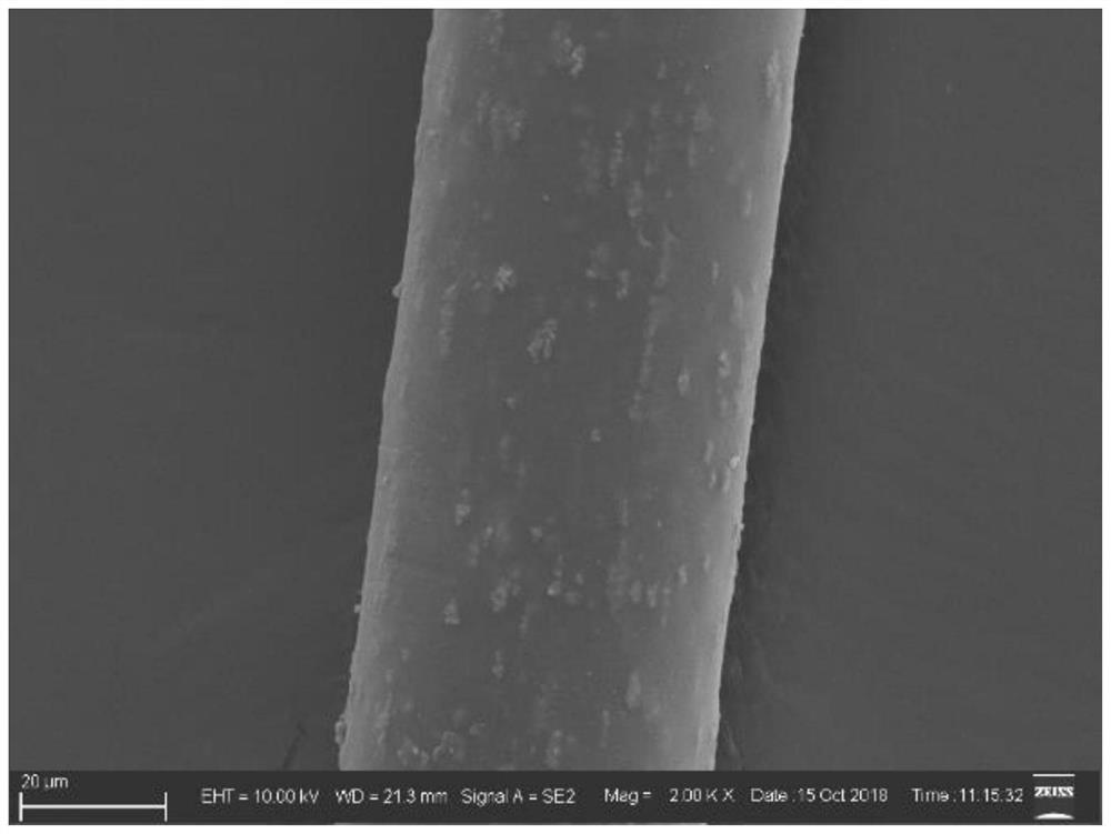 A kind of inner and outer surface growth carbon nanotubes containing fe  <sub>3</sub> The hollow composite carbon fiber of c and its preparation method