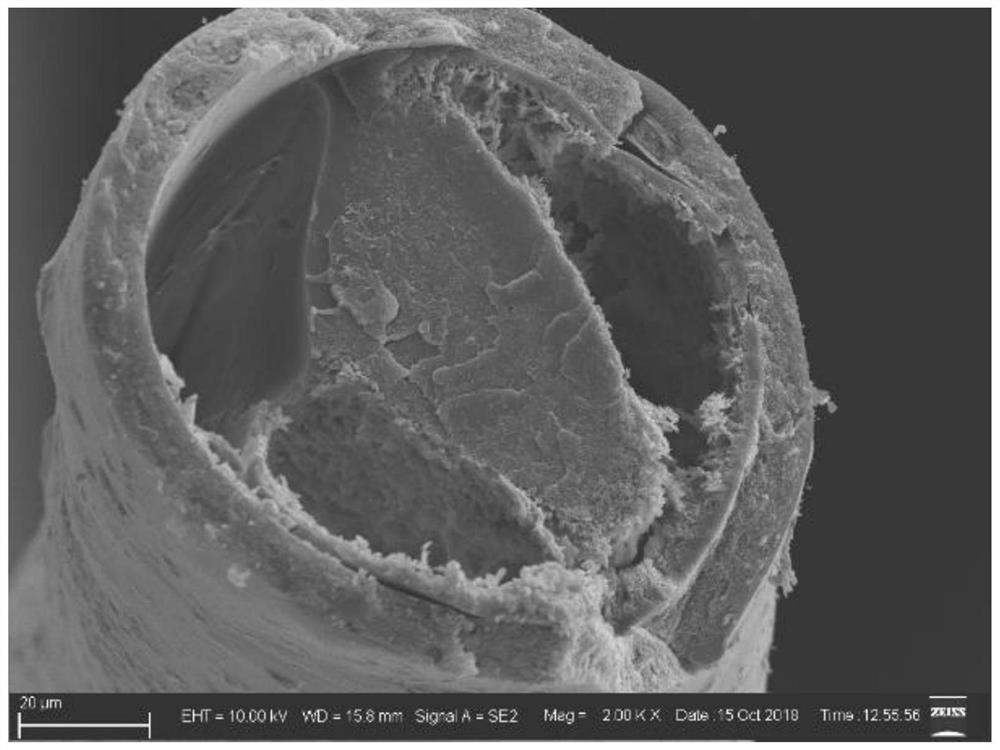 A kind of inner and outer surface growth carbon nanotubes containing fe  <sub>3</sub> The hollow composite carbon fiber of c and its preparation method