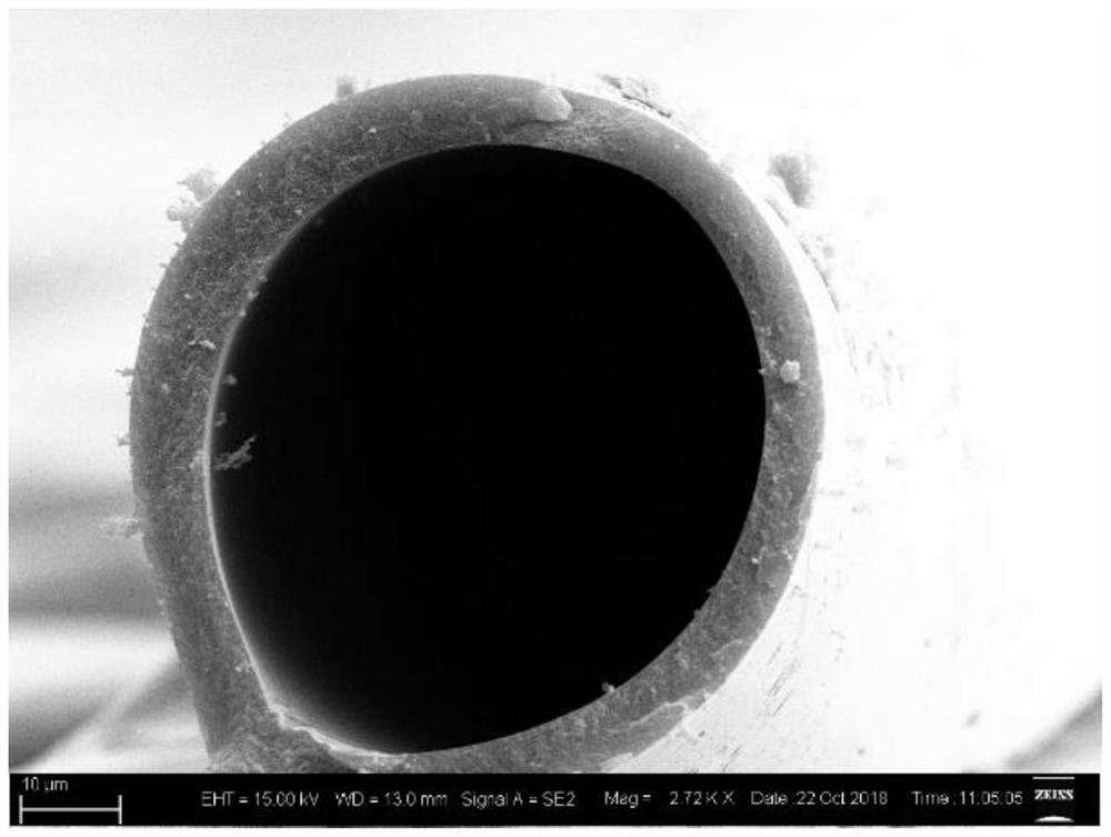 A kind of inner and outer surface growth carbon nanotubes containing fe  <sub>3</sub> The hollow composite carbon fiber of c and its preparation method