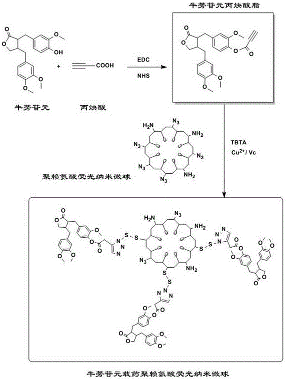 A multi-purpose polylysine fluorescent self-assembled nano-microsphere carrier and its preparation method and application