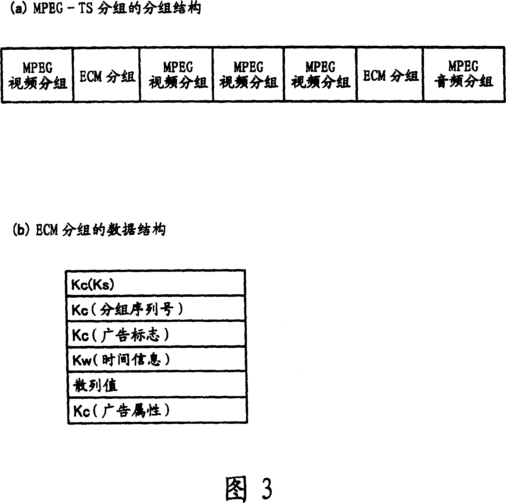 Broadcasting information right protective apparatus and method