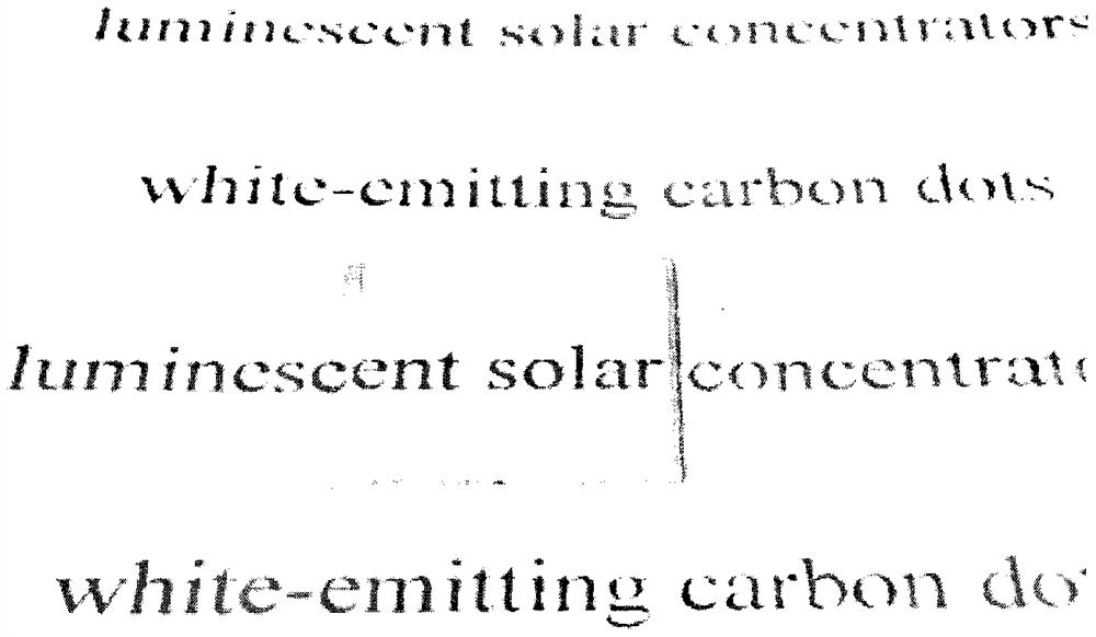 Preparation method and application of single-section solar light collector based on white light carbon dots