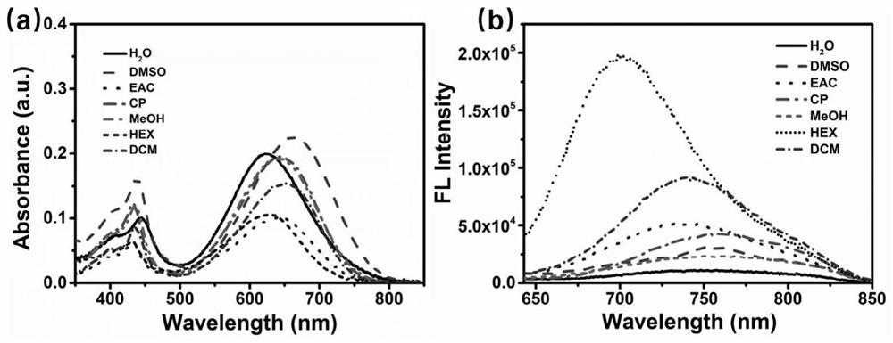 Preparation method of nucleolus targeting photo-thermal reagent based on perylene bisimide and application thereof