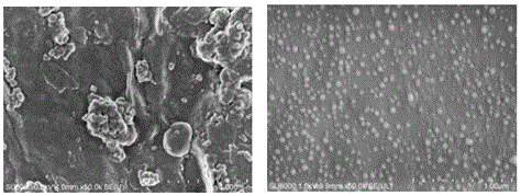 A kind of PVDF membrane with antifouling performance and preparation method thereof