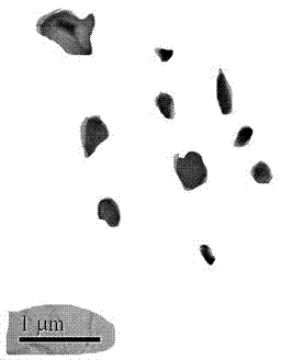 T91-steel ageing ranking method based on transmission electron microscope