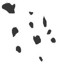 T91-steel ageing ranking method based on transmission electron microscope