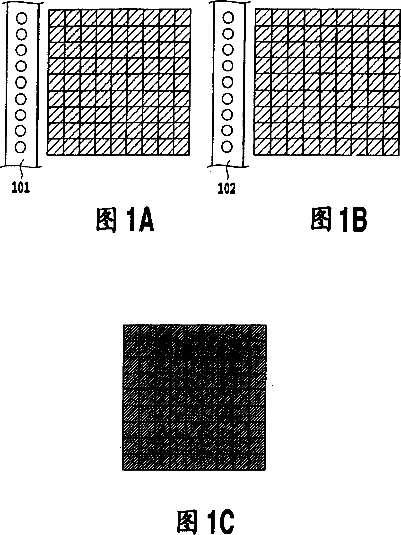 Ink jet print apparatus and ink jet print method