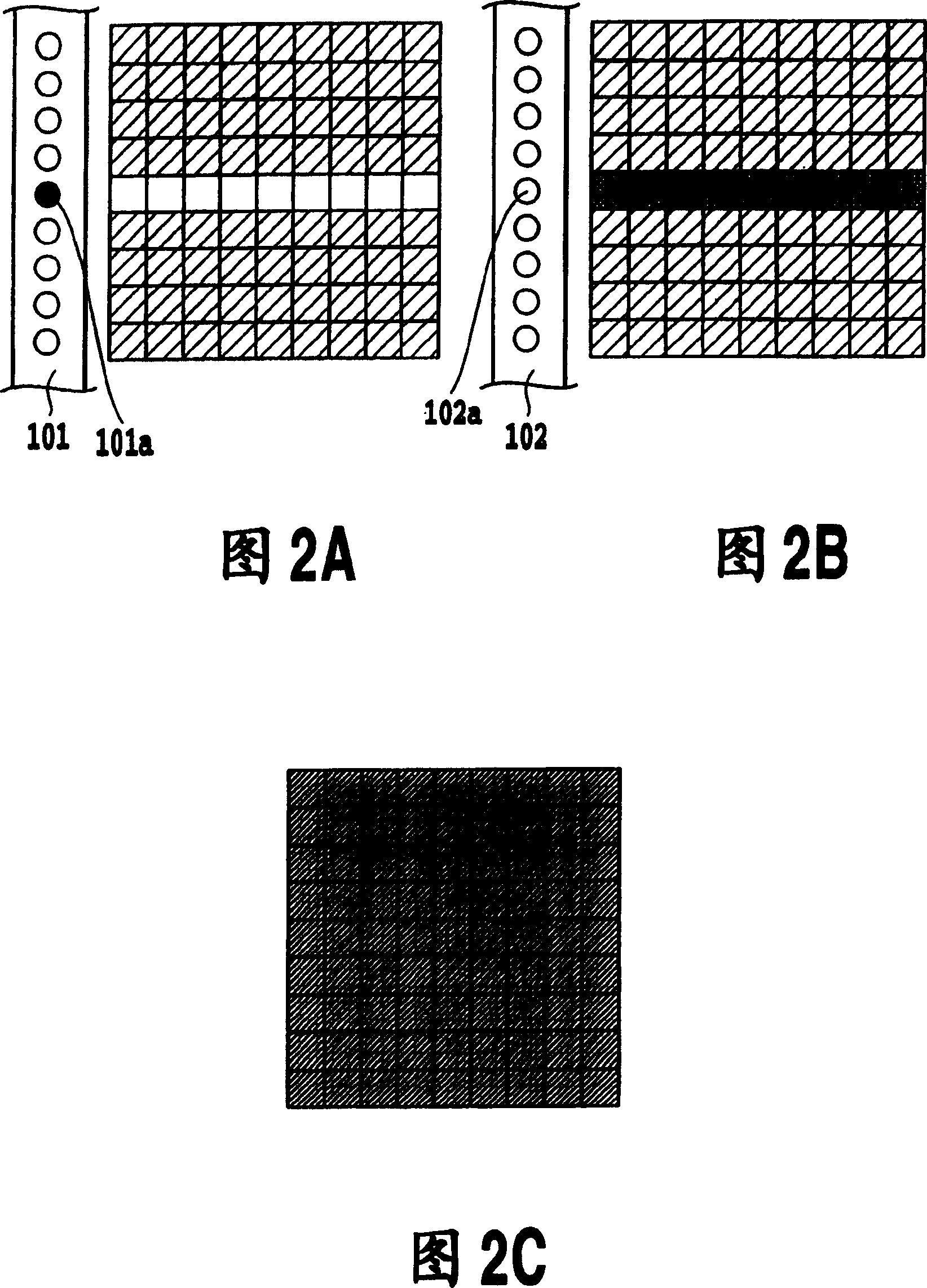 Ink jet print apparatus and ink jet print method