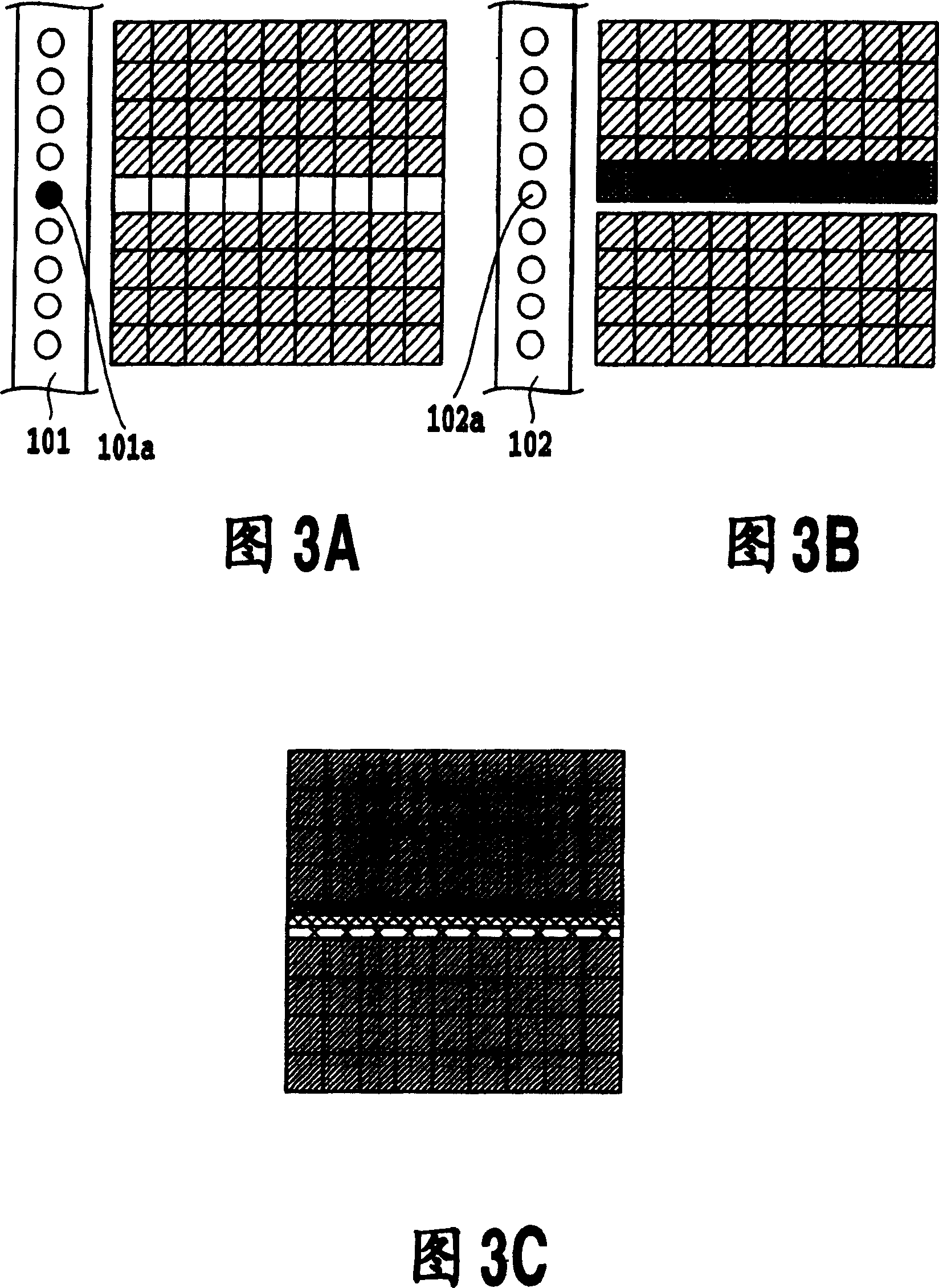 Ink jet print apparatus and ink jet print method