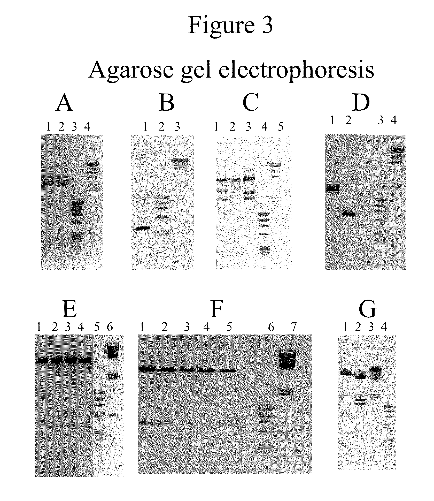 Fusion proteins for delivery of erythropoietin to the CNS