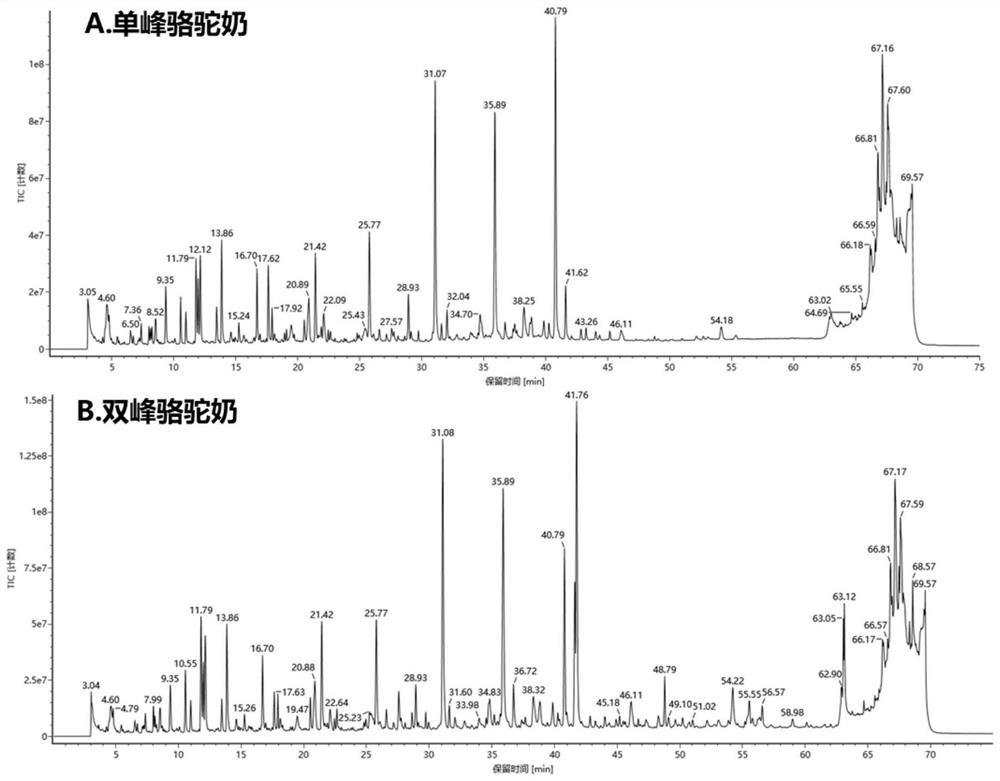 Camel milk characteristic peptide fragment combination and identification method