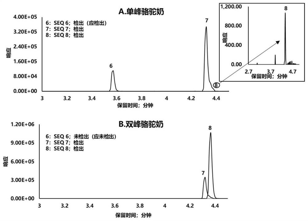 Camel milk characteristic peptide fragment combination and identification method