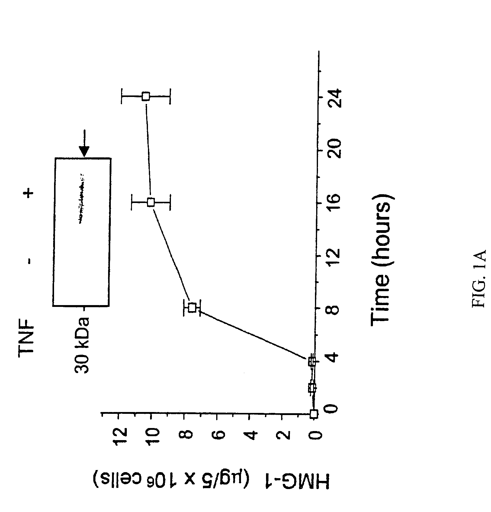 Antagonists of HMG1 for treating inflammatory conditions