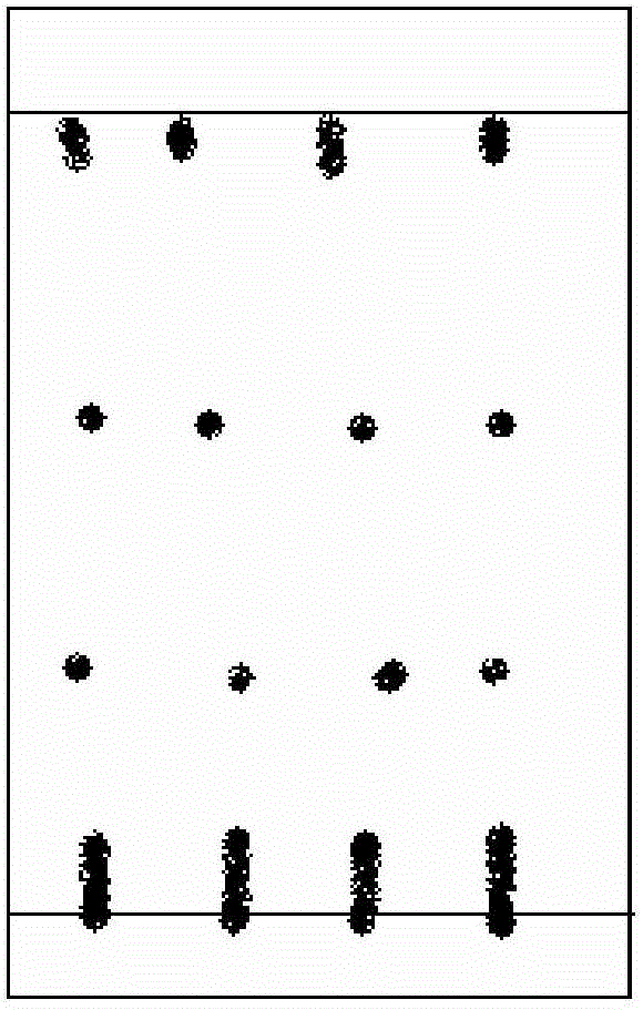 Detection method for Tibetan medicine semen caesalpiniae cristae