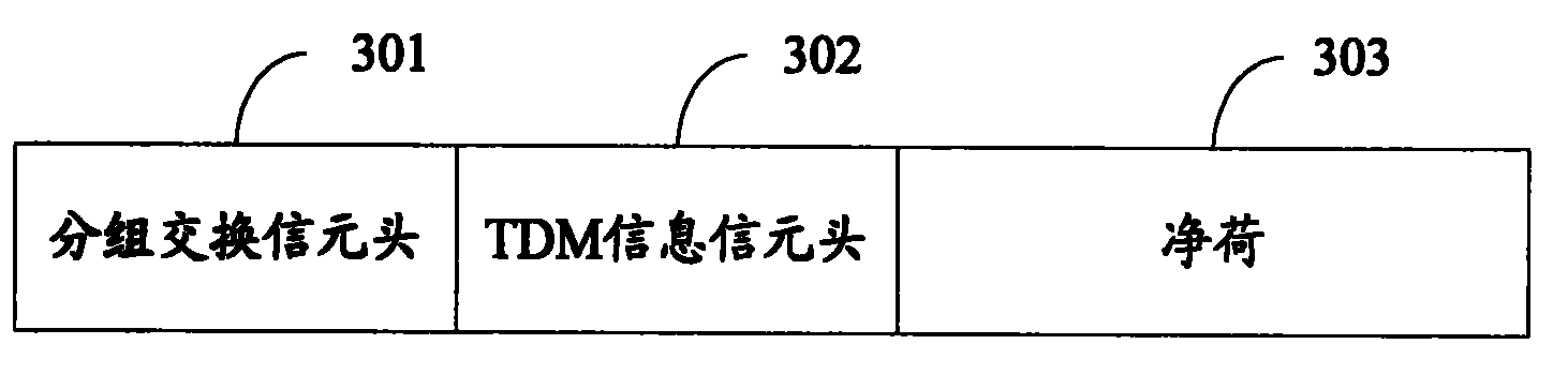 A TDM operation transmission method, device and system by packet switching network