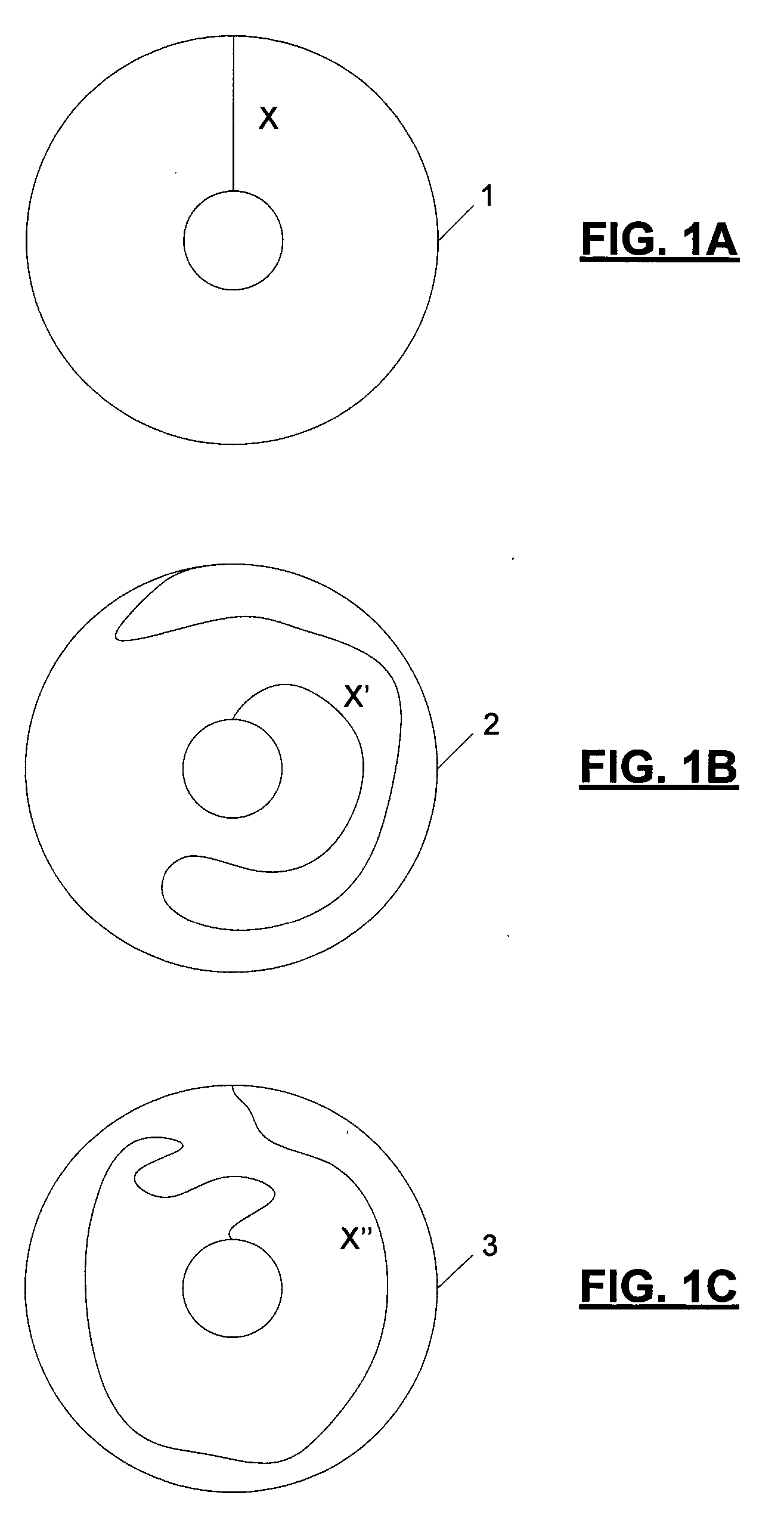 Quantum computational systems