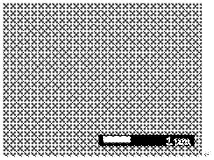 Method for preparing high-temperature superconducting coating conductor LaSrMnO3 buffering layer film