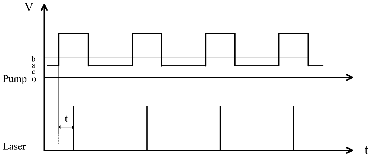 Pulse pumping passive Q-switched laser with light delay controllable function