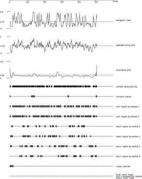 Eukaryotic expression method of fish viral hemorrhagic septicemia virus G gene