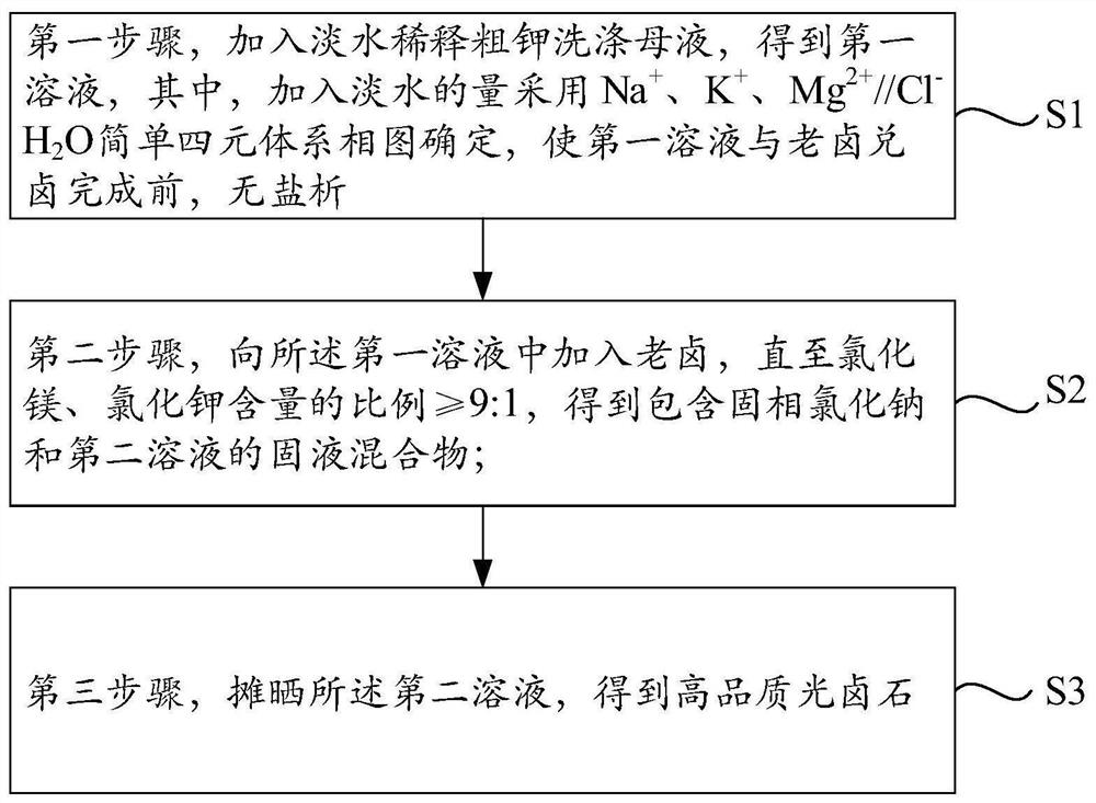 Method and system for preparing carnallite from crude potassium mother liquor