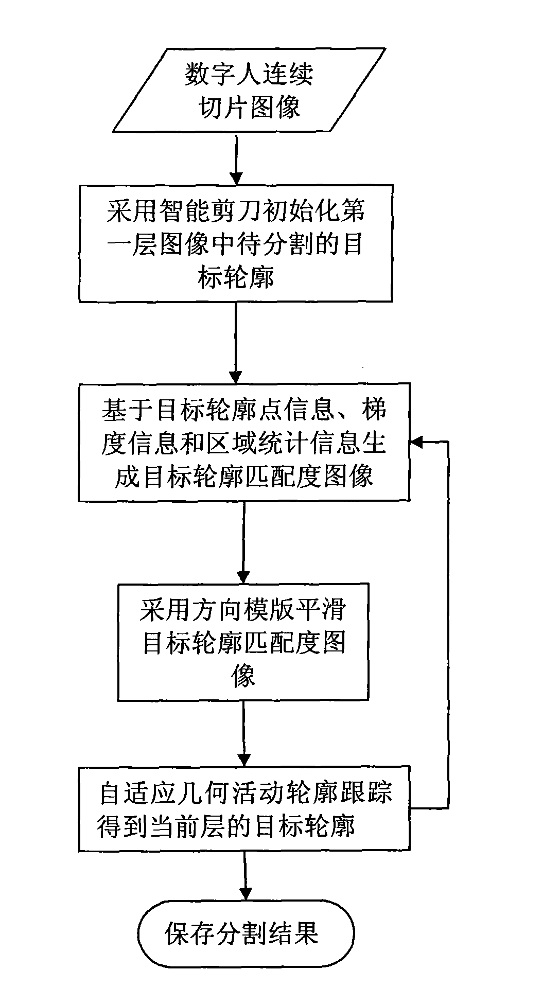 Digital human serial section image segmentation method based on geometric active contour target tracking