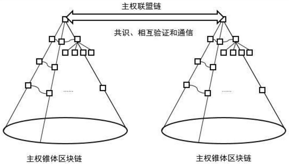 Prosomatic alliance chain of cone block chain