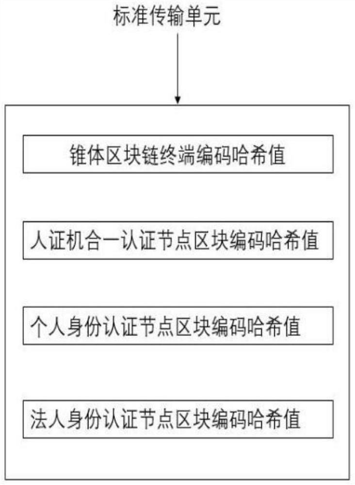 Prosomatic alliance chain of cone block chain