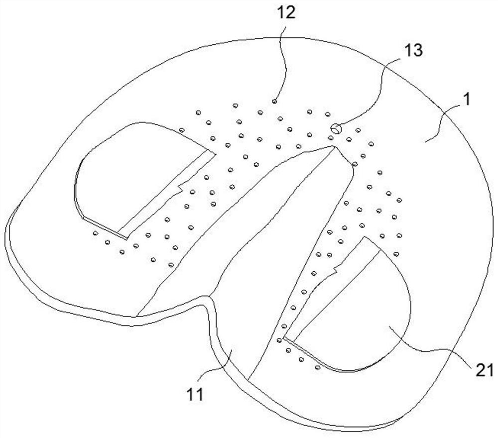 A kind of intravenous indwelling needle patch