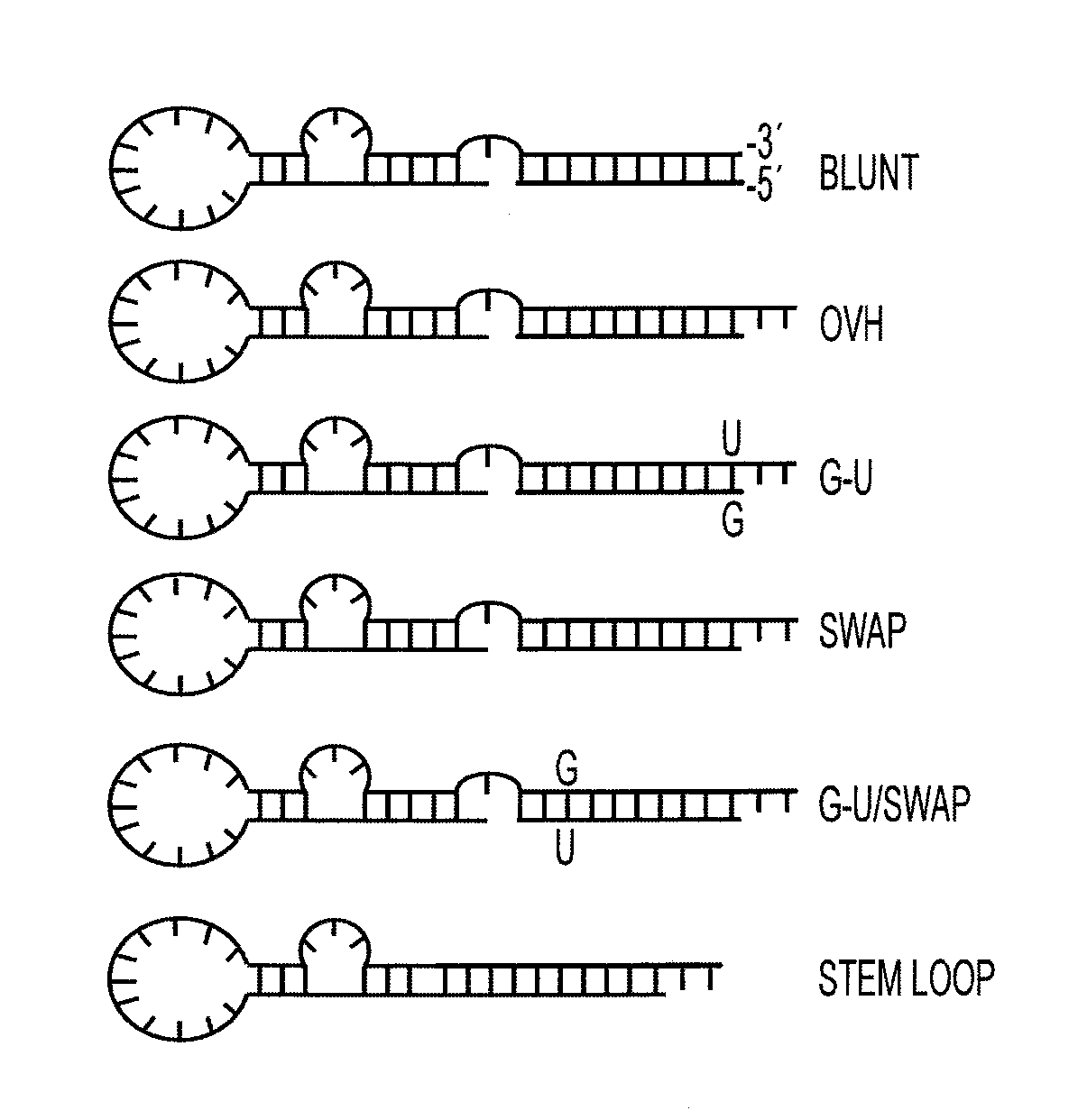 Nucleic acid aptamers