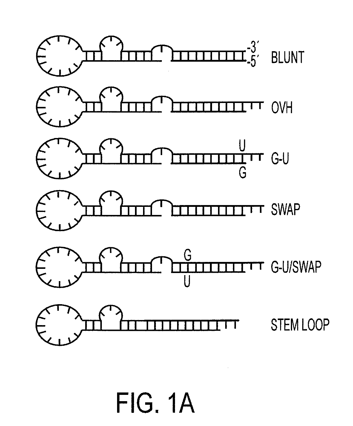 Nucleic acid aptamers