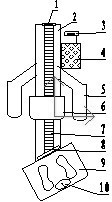 Physical examination measurement device