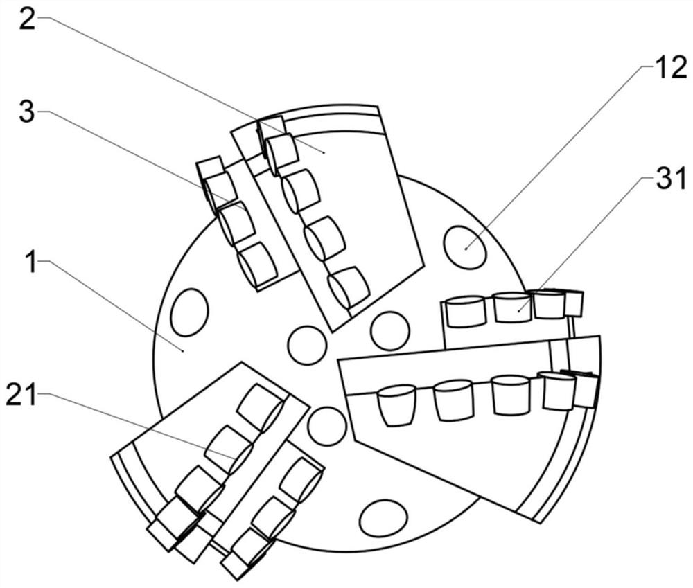 Cross cutting PDC (Polycrystalline Diamond Compact) drill bit and design method