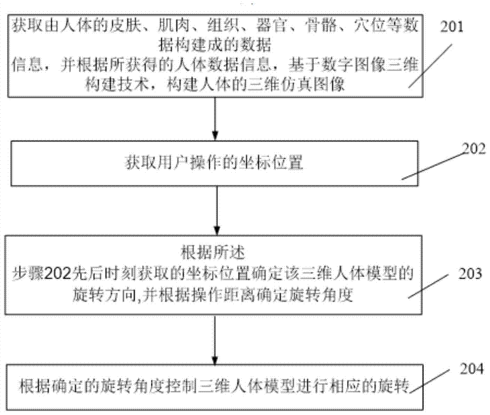 Three-dimensional human body model rotation system and method