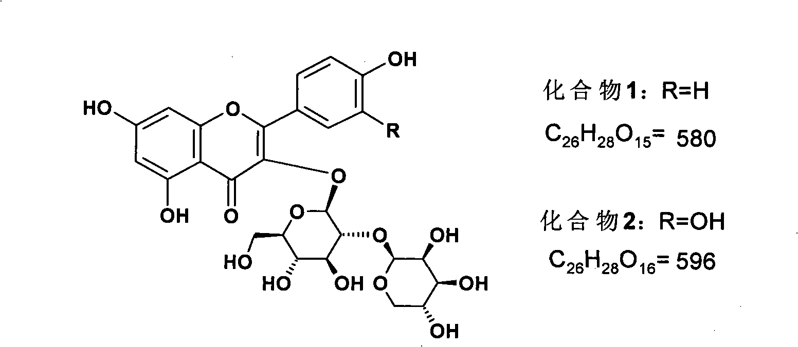 Alstonia-leaf medicinal materials and medicament testing method for its preparation