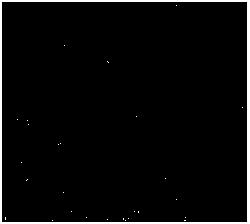 Paper porosity measuring and pore diameter analyzing method based on digital image processing