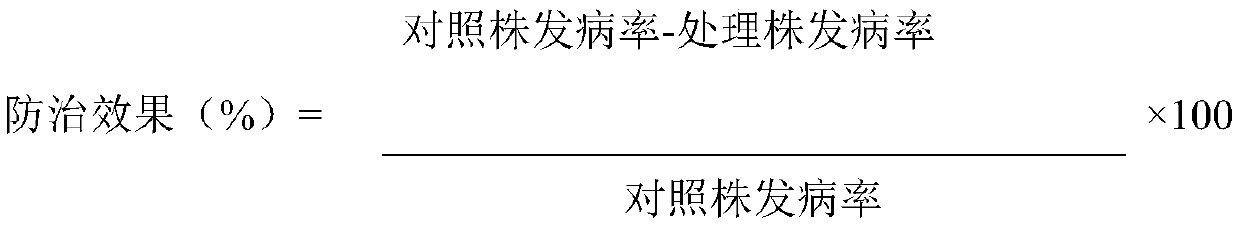 Suspended seed coating for preventing and treating peanut diseases and insects and preparation method thereof