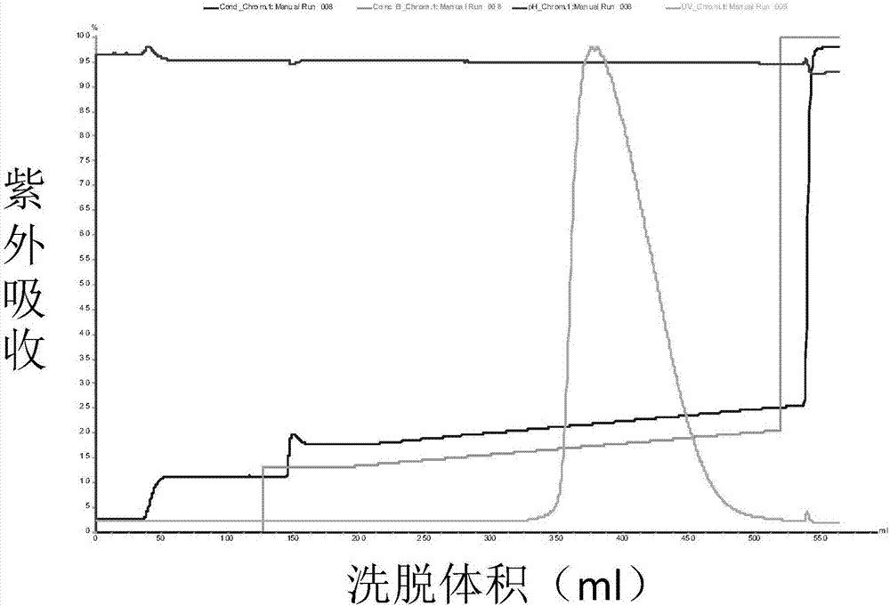 Medicinal kallikrein and preparing method and application thereof