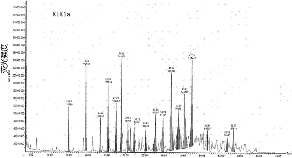 Medicinal kallikrein and preparing method and application thereof