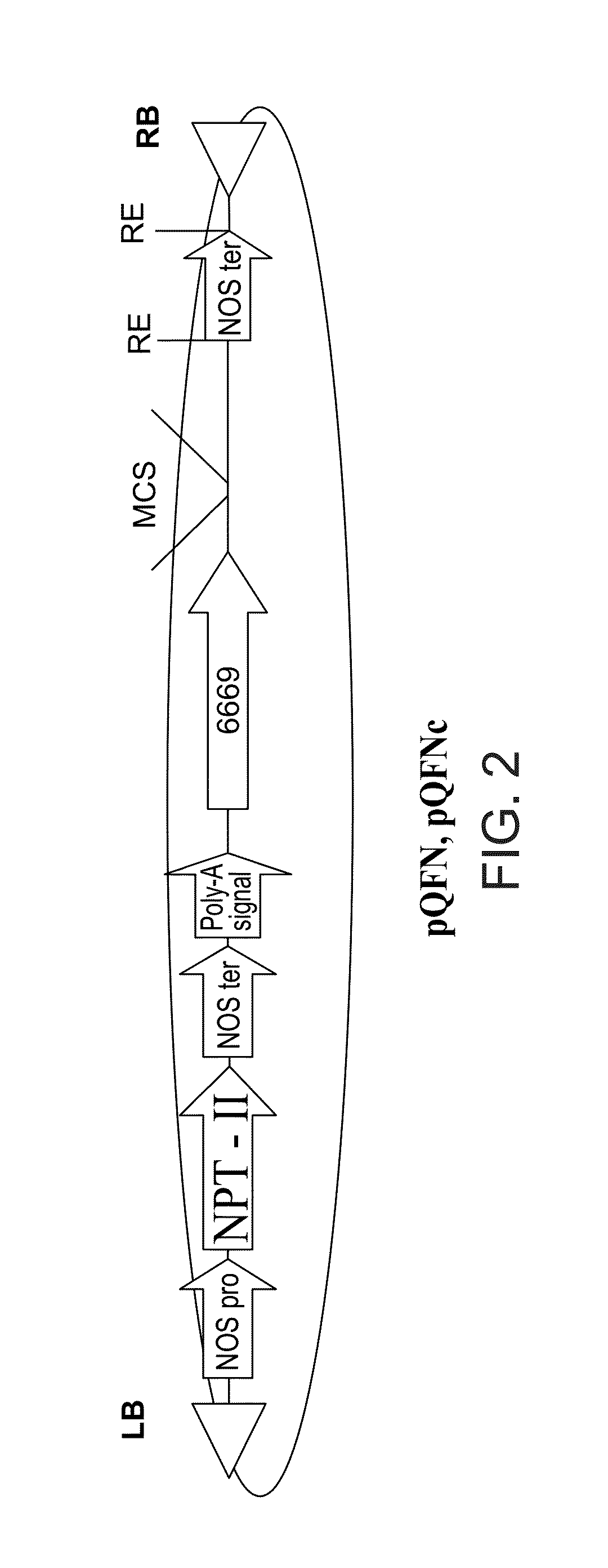 Isolated polynucleotides and polypeptides, construct and plants comprising same and methods of using same for increasing nitrogen use efficiency of plants