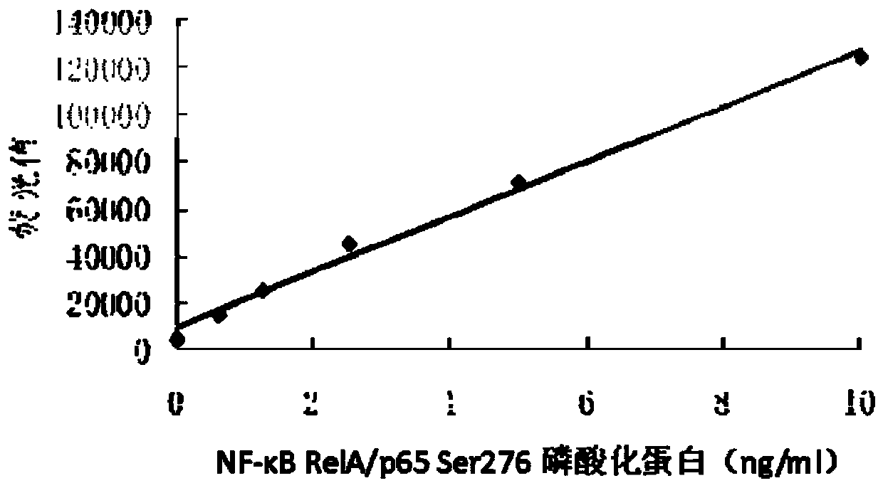 NF-kappaB RelA/p65 protein loci specificity phosphorylation diagnosis kit