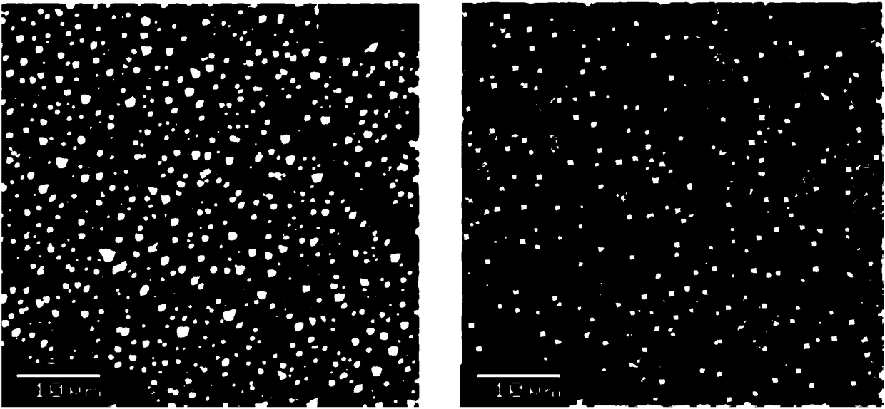 Preparation method of chitosan-poly2-acryloylamino-2-sodium methylpropyl sulfonate copolymer for surface texturing of monocrystalline silicon