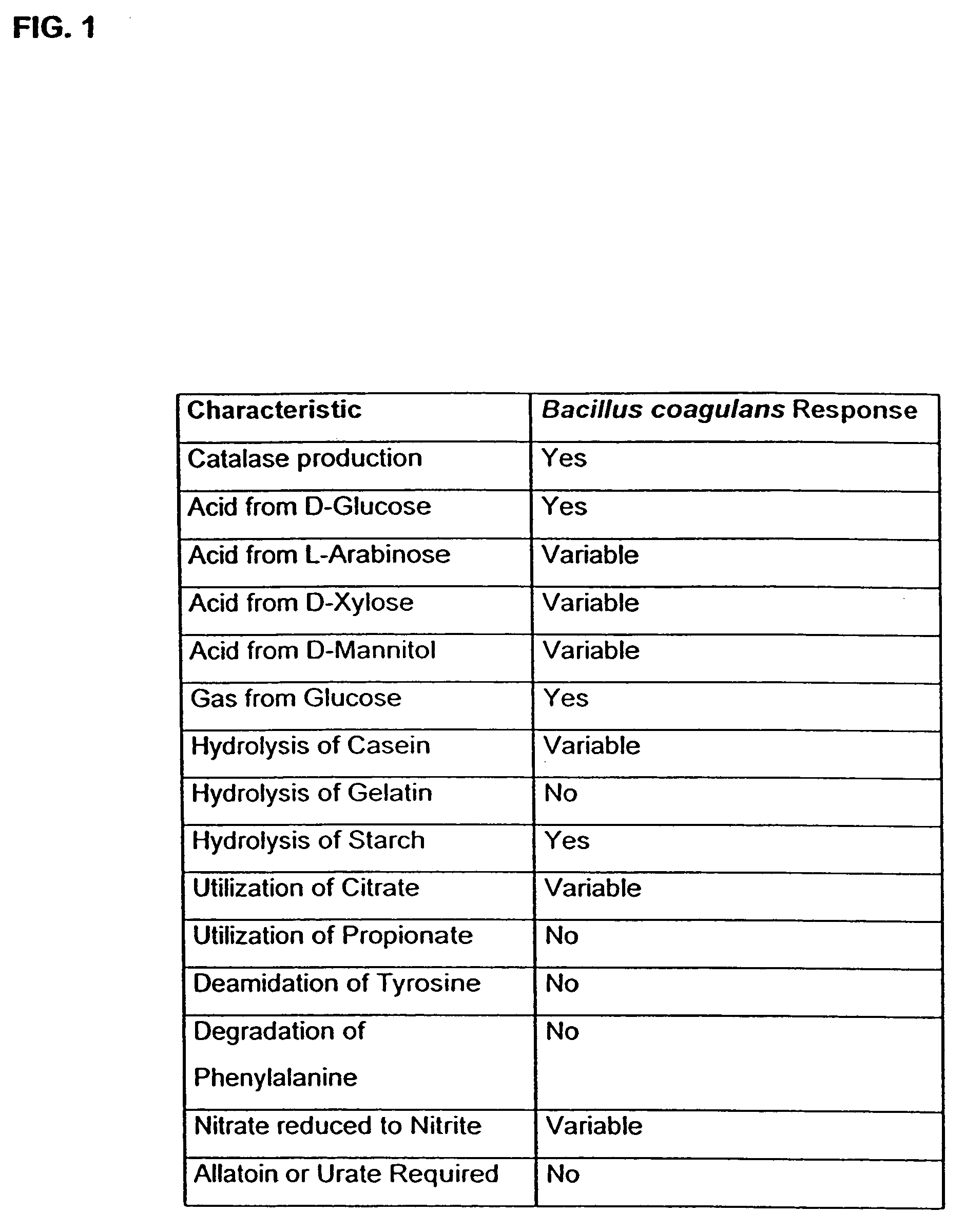 Use of Emu Oil and its various fractions as a carrier for antifungal, antibacterial, and antiviral medications and preparations