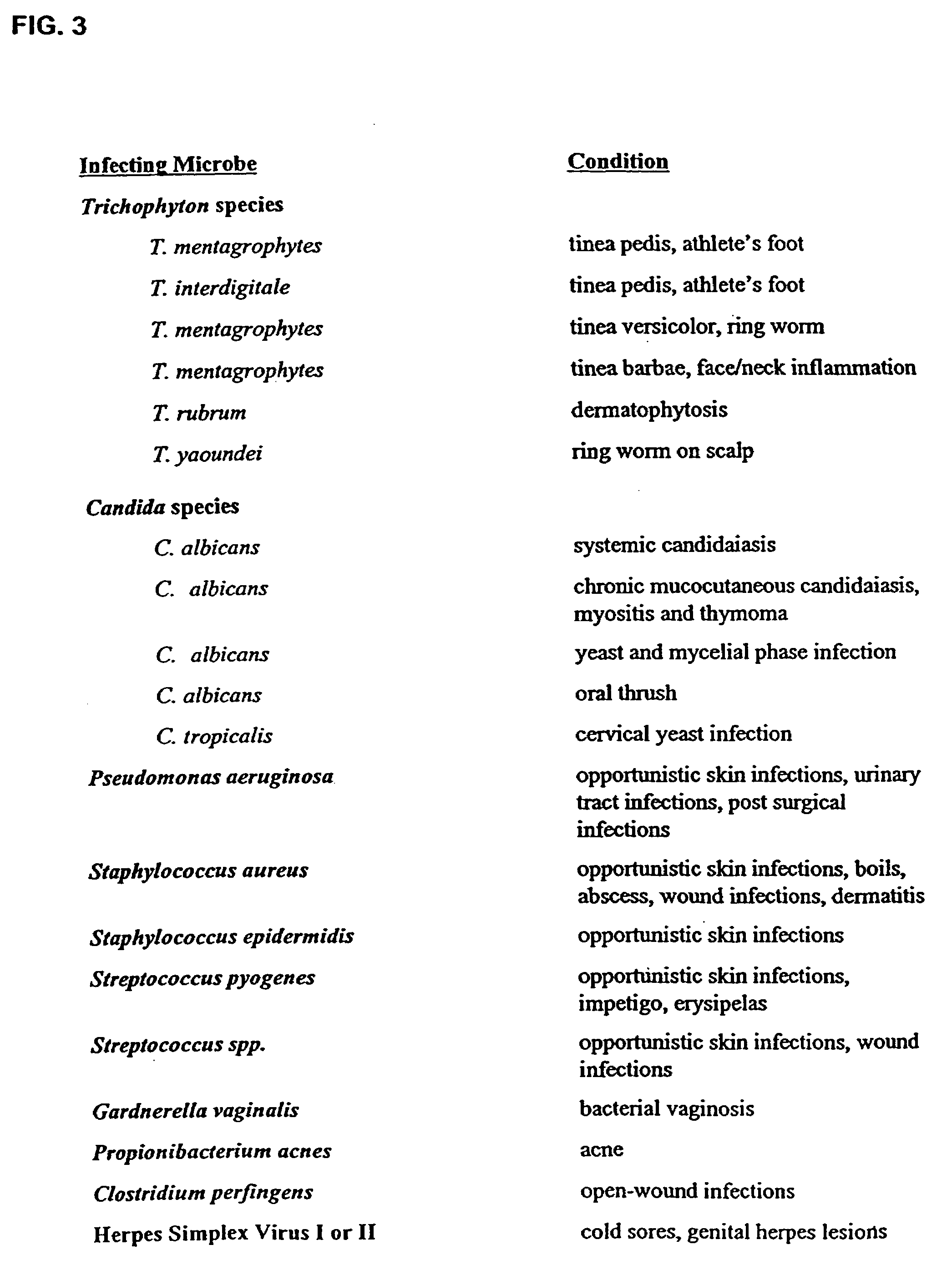 Use of Emu Oil and its various fractions as a carrier for antifungal, antibacterial, and antiviral medications and preparations