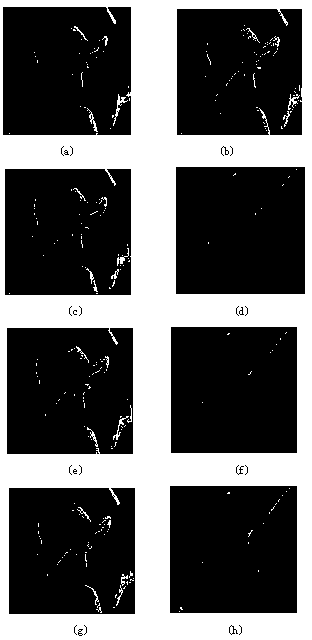 Method for fractional order original duality for image noise elimination