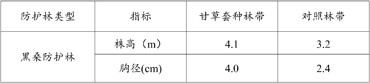 Method for interplanting glycyrrhiza under afforestation in protection forest